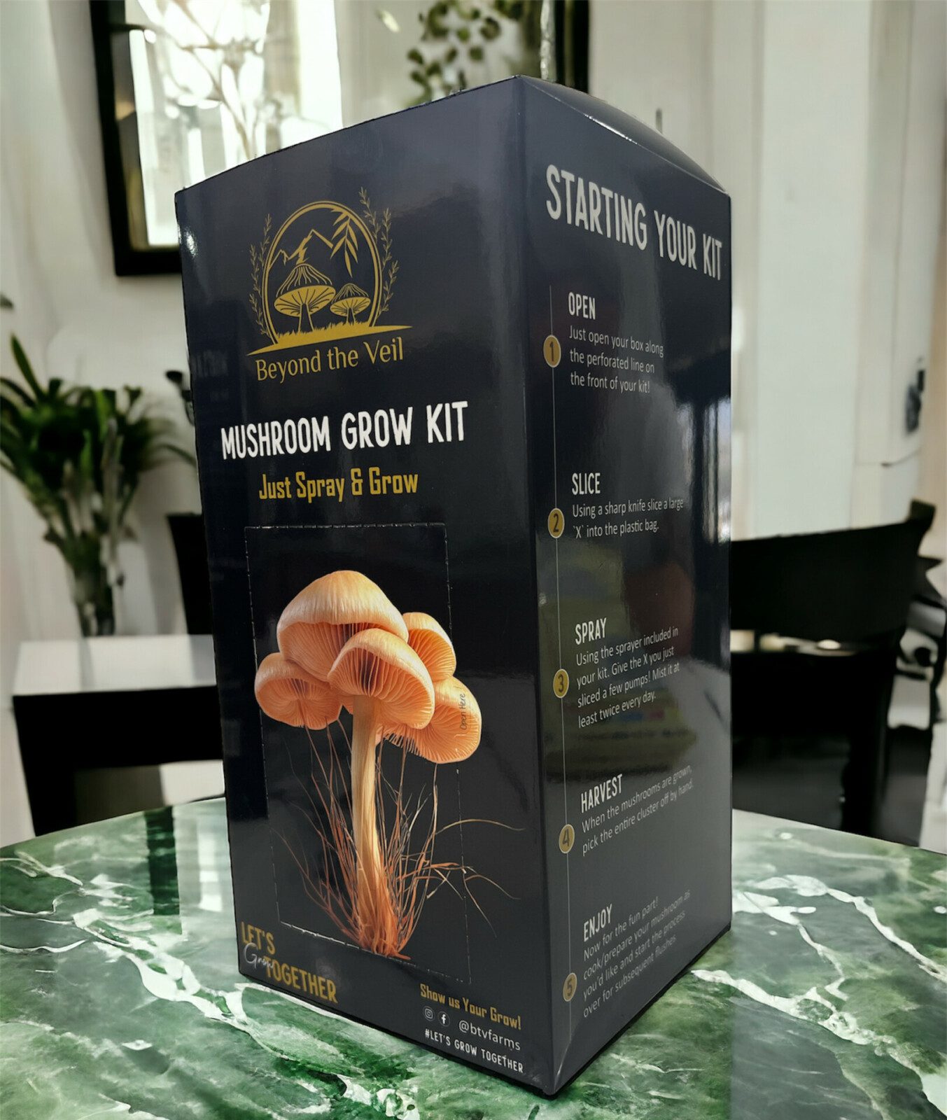 Lion's Mane Grow Kit - Beyond The Veil